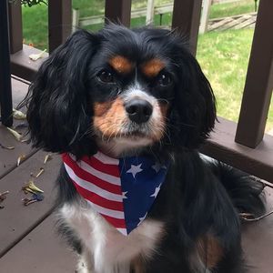 Meet your Posher, Kim